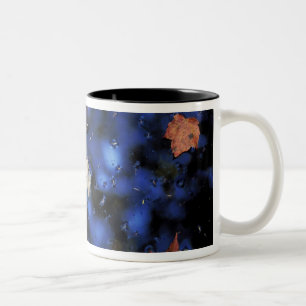 Nordamerika, USA, NH, Blätter in einem Teich daneb Zweifarbige Tasse
