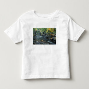 Nordamerika, USA, NH, Die Brücke bei Packers Kleinkind T-shirt