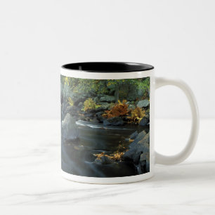 Nordamerika, USA, NH, Die Brücke bei Packers Zweifarbige Tasse