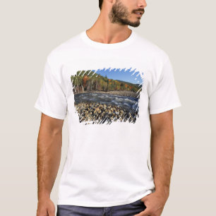 Nordamerika, USA, NH, Ein Kieselstrand an dem T-Shirt