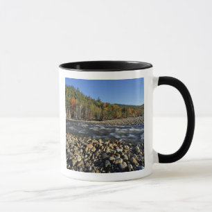 Nordamerika, USA, NH, Ein Kieselstrand an dem Tasse