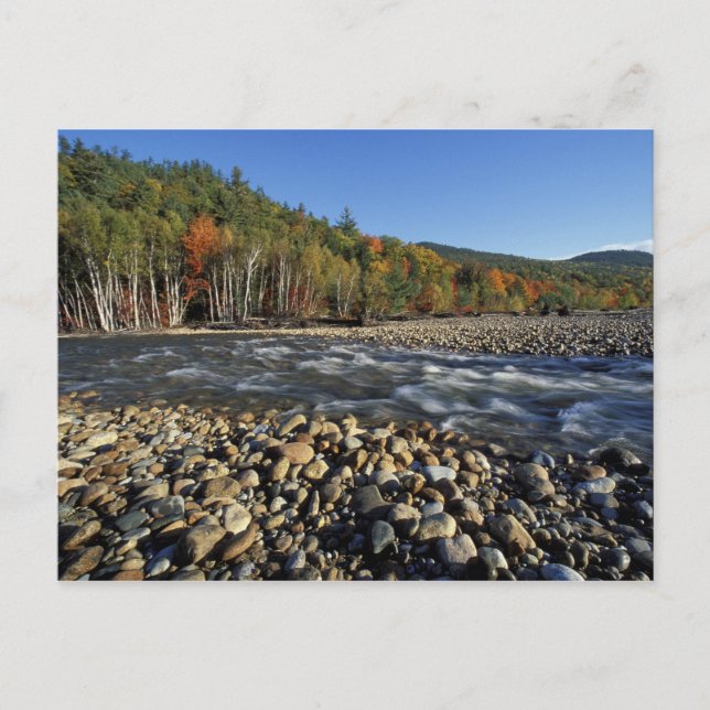 Nordamerika, USA, NH, Ein Kopfsteinpflaster Strand Postkarte (Vorderseite)