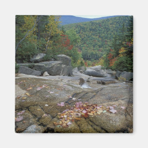 Nordamerika, USA, NH, Herbstlaub in New Magnet