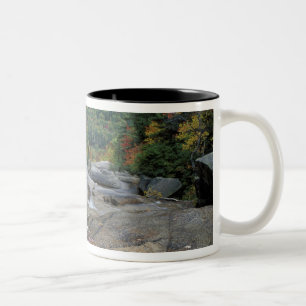 Nordamerika, USA, NH, Herbstlaub in New Zweifarbige Tasse