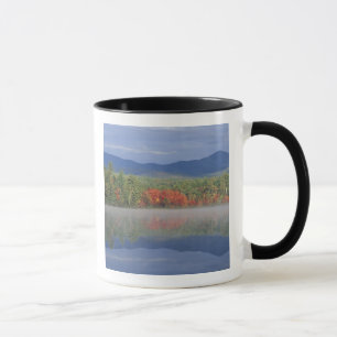 Nordamerika, USA, NH, Herbstreflektionen in Tasse