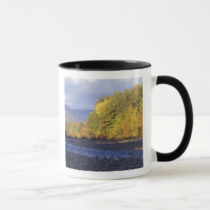 Nordamerika, USA, NH, Saco River. Kiesel Tasse