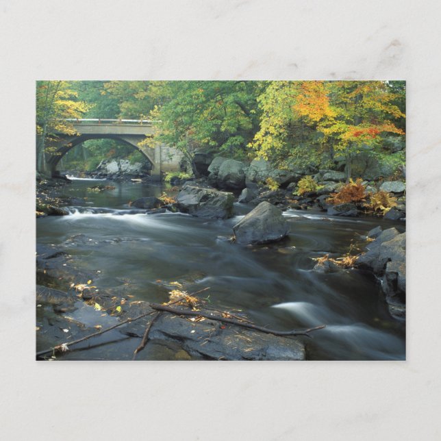 Nordamerika, USA, NH, The Bridge at Packers Postkarte (Vorderseite)
