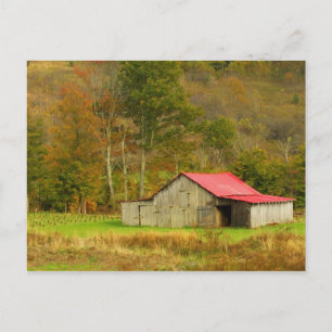 Nordamerika, USA, North Carolina, ländlich Postkarte