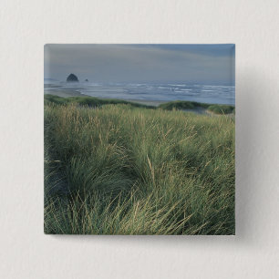 Nordamerika, USA, Oregon, Canon Beach, Button