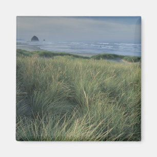 Nordamerika, USA, Oregon, Canon Beach, Magnet