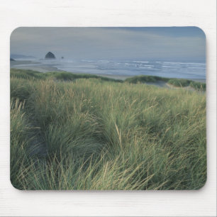 Nordamerika, USA, Oregon, Canon Beach, Mousepad