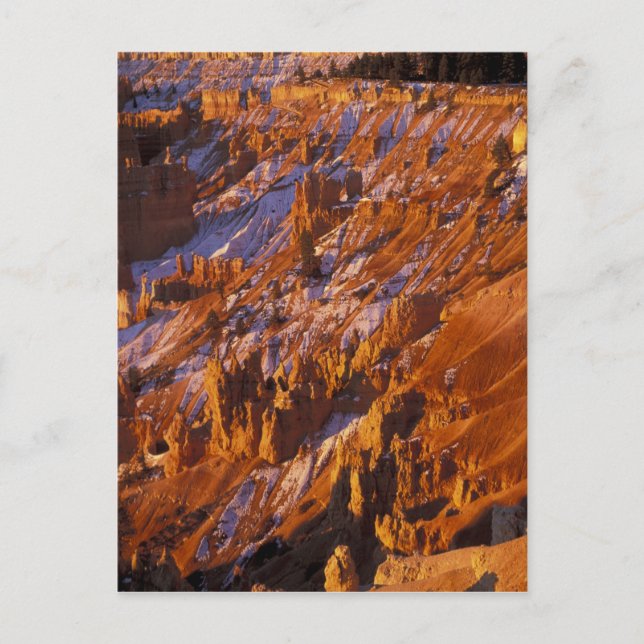 Nordamerika, USA, Utah, Bryce Canyon Postkarte (Vorderseite)