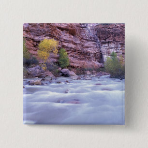 Nordamerika, USA, Utah, Zion National Park. 2 Button
