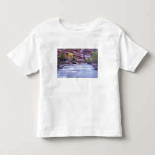 Nordamerika, USA, Utah, Zion National Park. 2 Kleinkind T-shirt