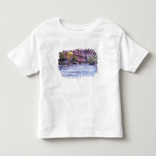 Nordamerika, USA, Utah, Zion National Park. 2 Kleinkind T-shirt