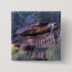 Nordamerika, USA, Utah, Zion-Nationalpark. 3 Button