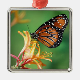 Nordamerika, USA, WA, Seattle, Woodland Park Silbernes Ornament