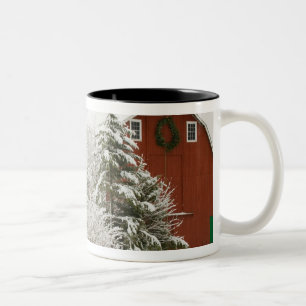 Nordamerika, USA, WA, Whidbey Insel Zweifarbige Tasse