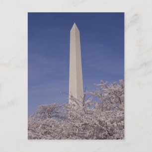 Nordamerika, USA, Washington D.C. Washington Postkarte