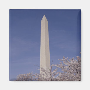 Nordamerika, USA, Washington DC. Washington Magnet