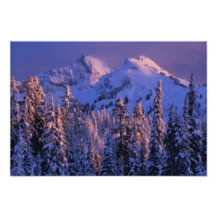 Nordamerika, USA, Washington, Mt. Rainier 4 Fotodruck