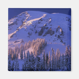 Nordamerika, USA, Washington, Mt. Rainier 5 Magnet
