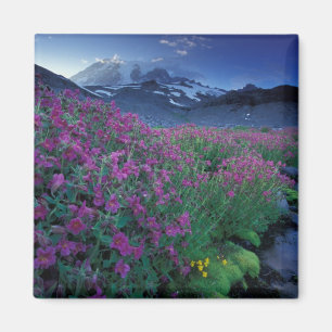 Nordamerika, USA, Washington, Mt. Rainier 6 Magnet