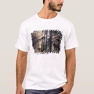Nordamerika, USA, Washington, Olympic NF, T-Shirt