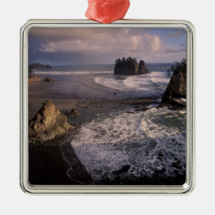 Nordamerika, USA, Washington, Olympic NP, Ornament Aus Metall