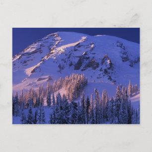Nordamerika, USA, Washington, Rainier 5 Postkarte