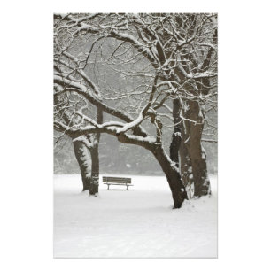 Nordamerika, USA, Washington, Seattle, Schnee 2 Fotodruck