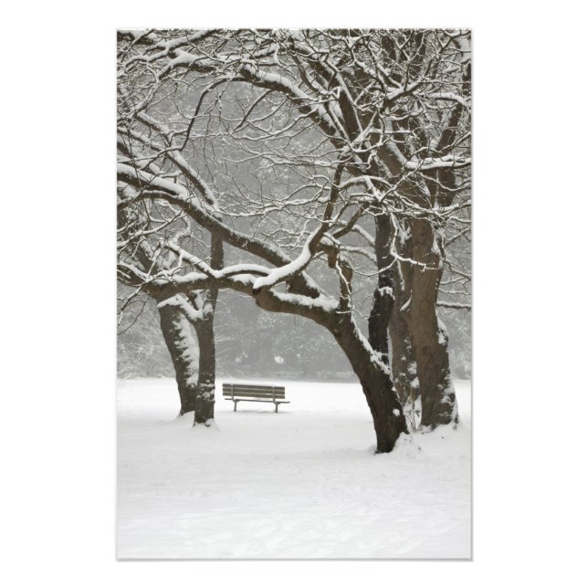 Nordamerika, USA, Washington, Seattle, Snow 2 Fotodruck (Vorne)
