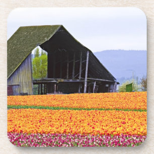 Nordamerika, USA, Washington, Skagit Valley.2 Getränkeuntersetzer