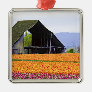 Nordamerika, USA, Washington, Skagit Valley. 2 Silbernes Ornament
