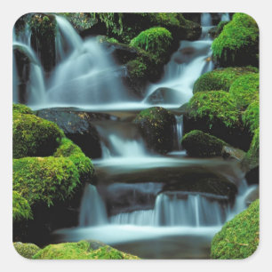Nordamerika; USA; Washington, Sol Duc Kaskade Quadratischer Aufkleber