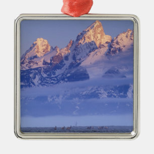 Nordamerika, USA, Wyoming, Grand Teton NP, 2 Silbernes Ornament