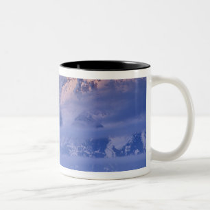 Nordamerika, USA, Wyoming, Grand Teton NP, 2 Zweifarbige Tasse