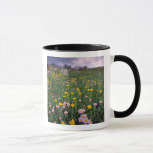 Nordamerika, USA, Wyoming, Yellowstone 2 Tasse