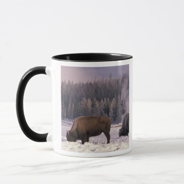 Nordamerika, USA, Wyoming, Yellowstone NP Tasse (Links)