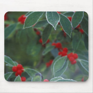 Nordamerika, Vereinigte Staaten, New England. Stec Mousepad