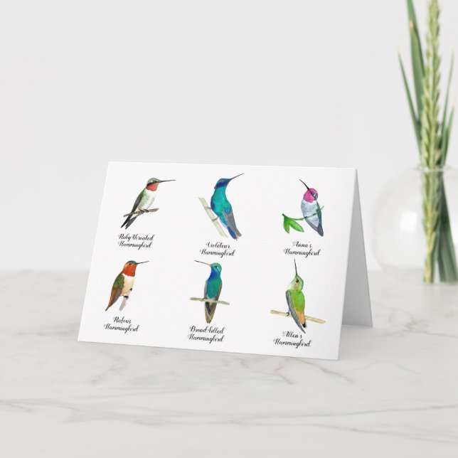 Nordamerikanische Hummingbirds-Karte Karte (Vorderseite)