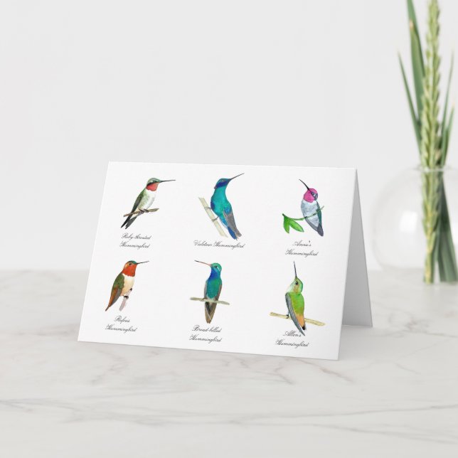 Nordamerikanische Hummingbirds-Karte Karte (Vorderseite)
