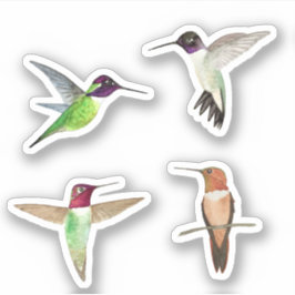 Nordamerikanische Hummingvögel Aufkleber
