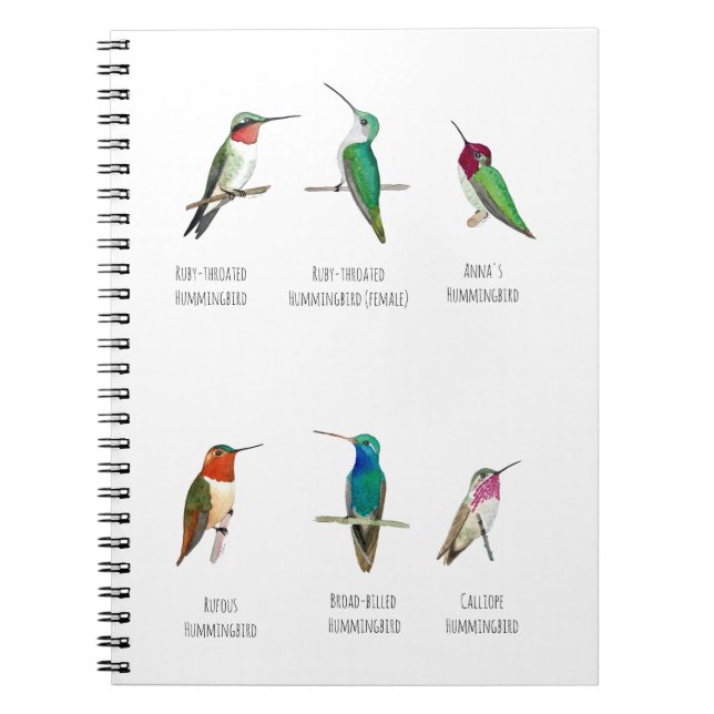 Nordamerikanische Hummingvögel Notizblock (Vorderseite)