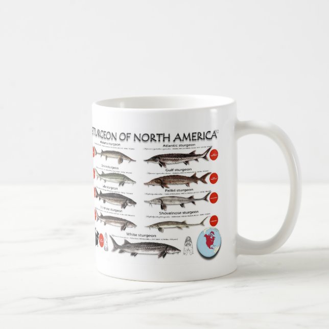 Nordamerikanische Stör RedList Tasse (Rechts)