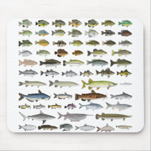 Nordamerikanische Süßwasserfischgruppe Mousepad