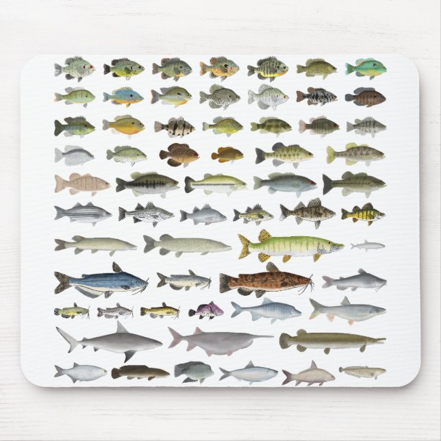 Nordamerikanische Süßwasserfischgruppe Mousepad (Vorne)