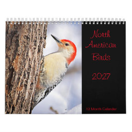 Nordamerikanische Vögel 2027 Kalender