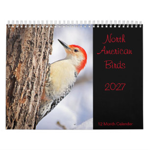 Nordamerikanische Vögel 2027 Kalender