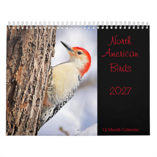 Nordamerikanische Vögel 2027 Kalender